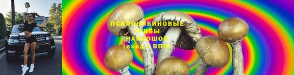 амф Абдулино