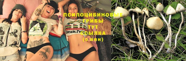 амф Абдулино