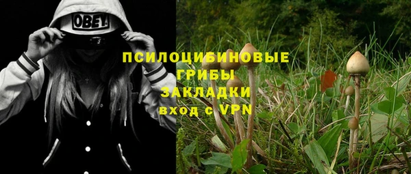 амф Абдулино