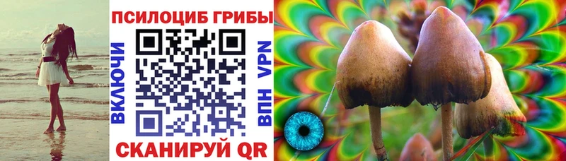 Псилоцибиновые грибы Psilocybe Домодедово
